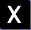  X 